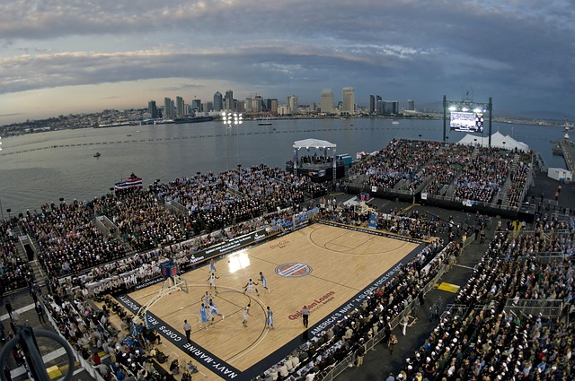 The Best Professional Basketball Players: What Makes Them Great?
