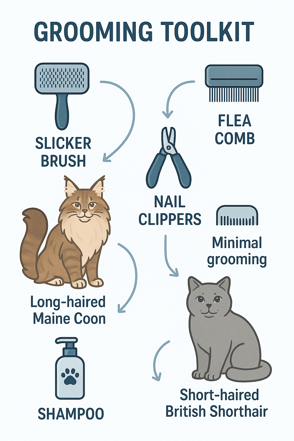 Grooming toolkit infographic with tools and tips for popular cat breeds like Maine Coon and British