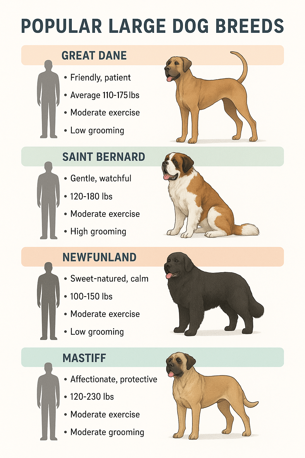 Infographic showing five popular large dog breeds with size and care tips for pet owners and familie