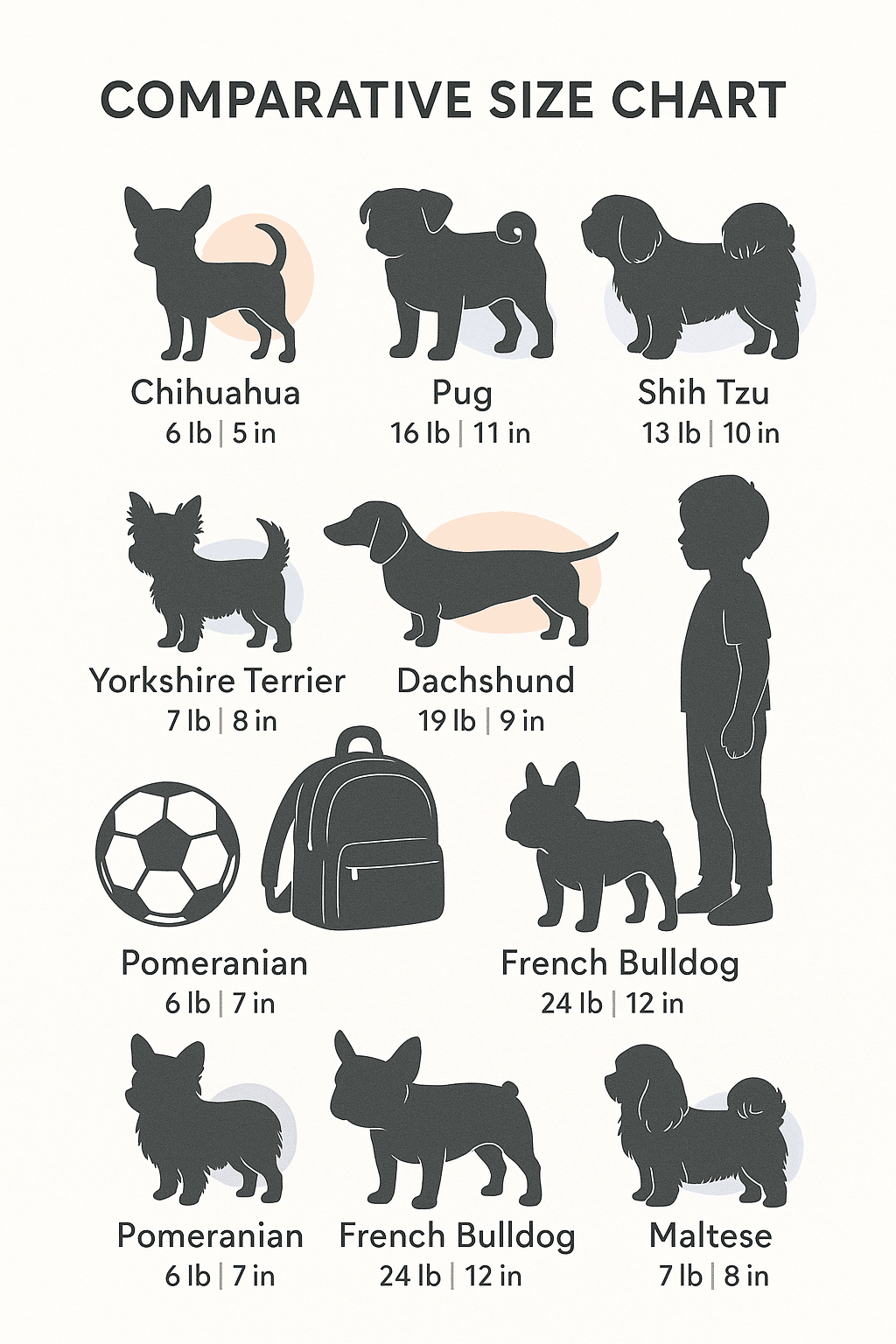 Size comparison chart of small dog breeds for families seeking ideal pet size