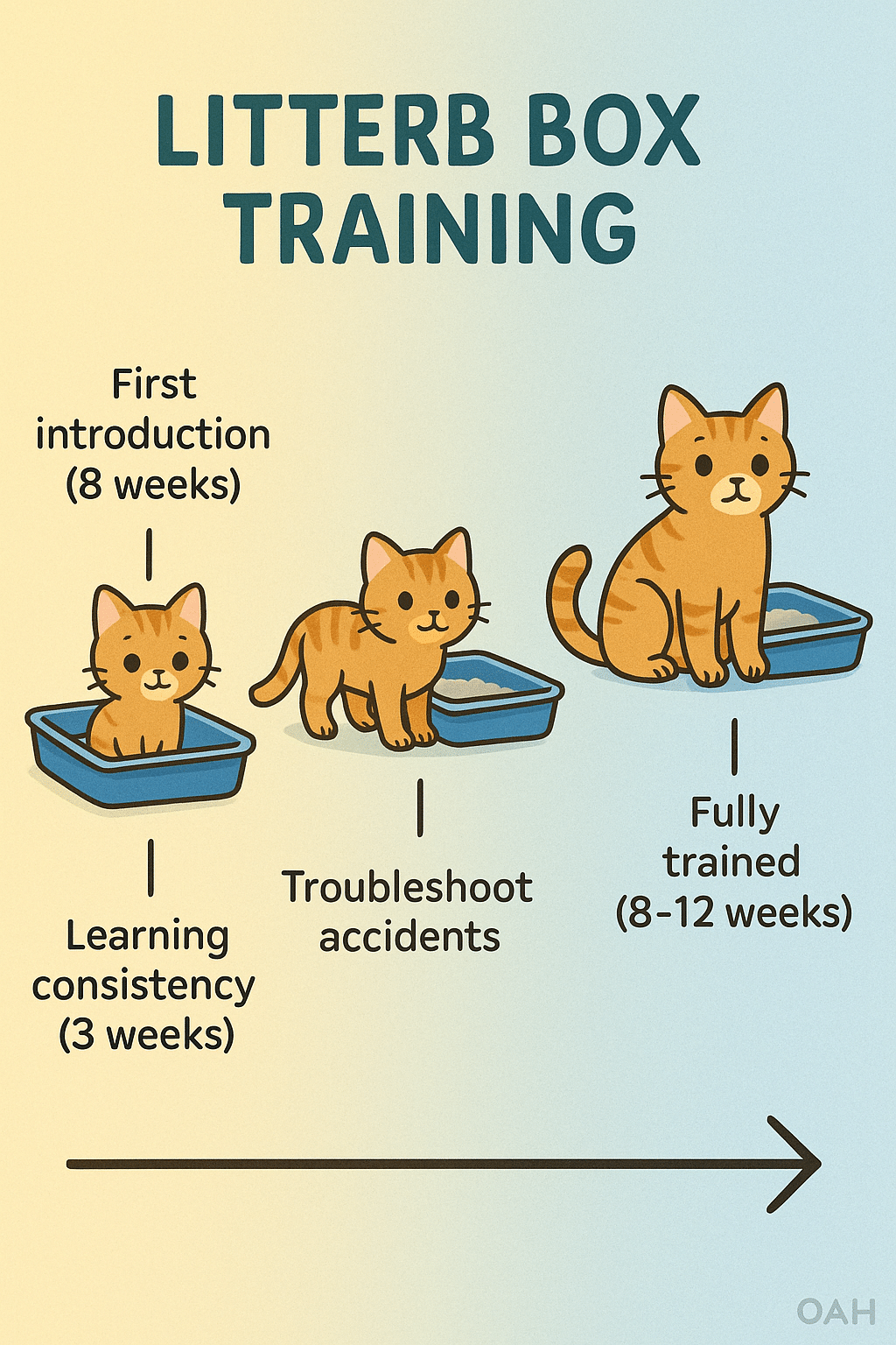 Timeline graphic showing litter box training cats stages and milestones