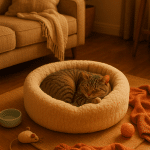 peaceful indoor scene with a relaxed cat in the best cat beds surrounded by cozy pet items