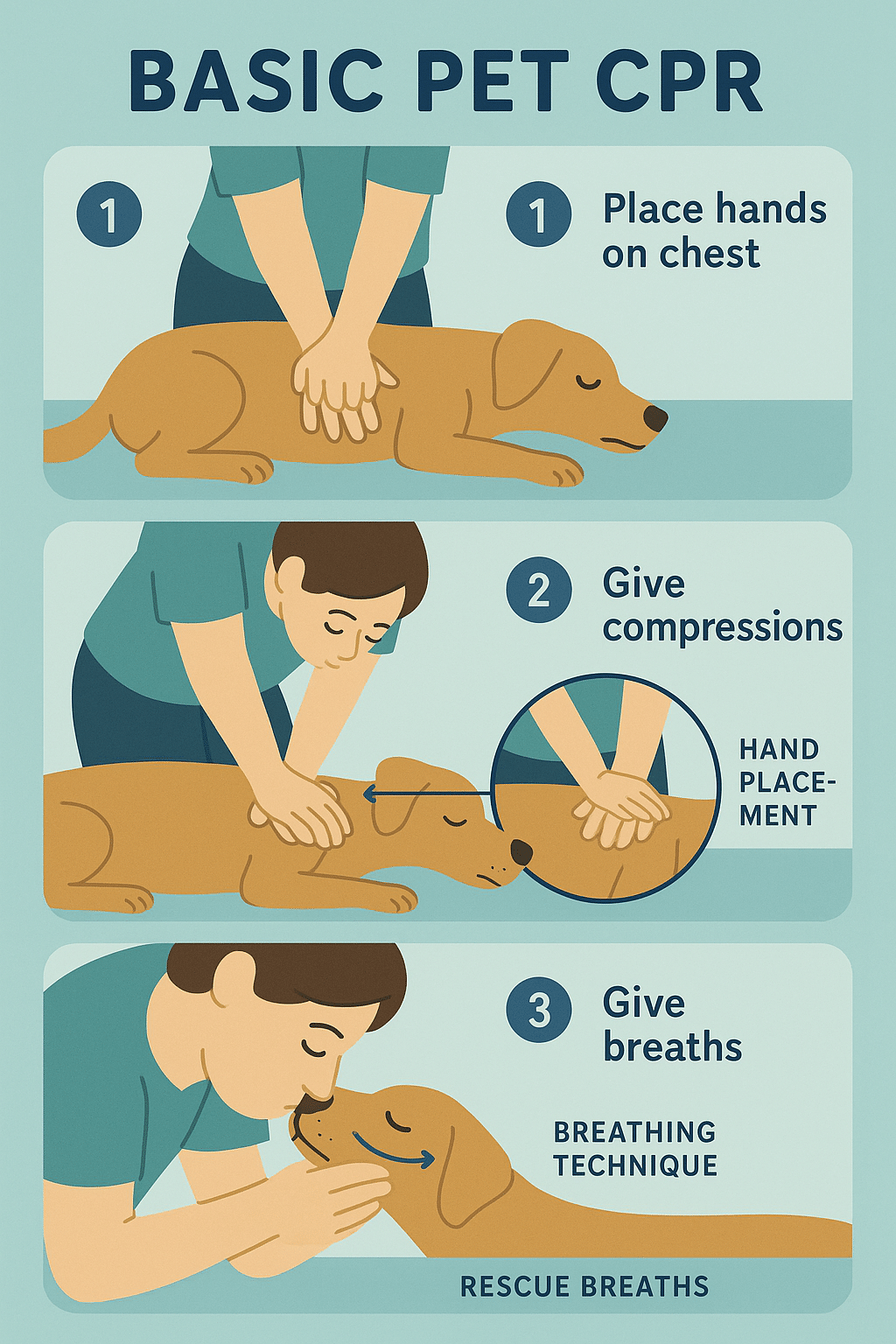 pet first aid kit infographic showing step by step dog CPR instructions for emergencies