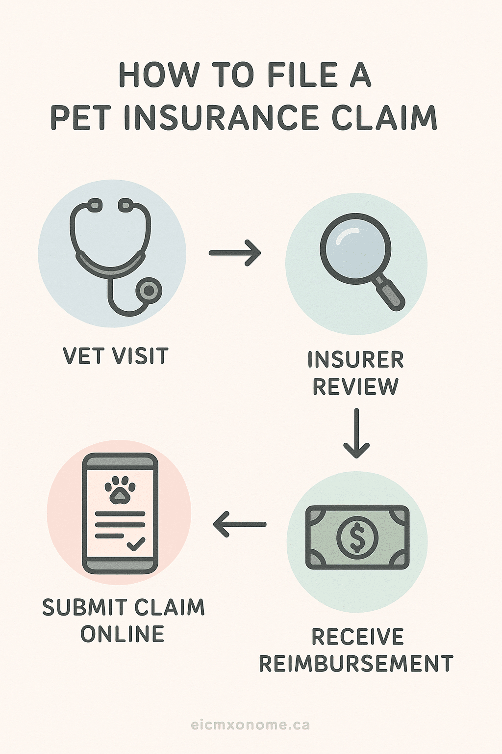 step by step guide for best pet insurance claim process for pet owners